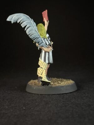 IMG_0070 Blood Bowl Elven Referee