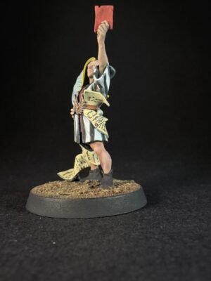 IMG_0075 Blood Bowl Elven Referee