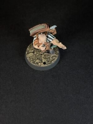 IMG_0084 Blood Bowl Dwarves Referee