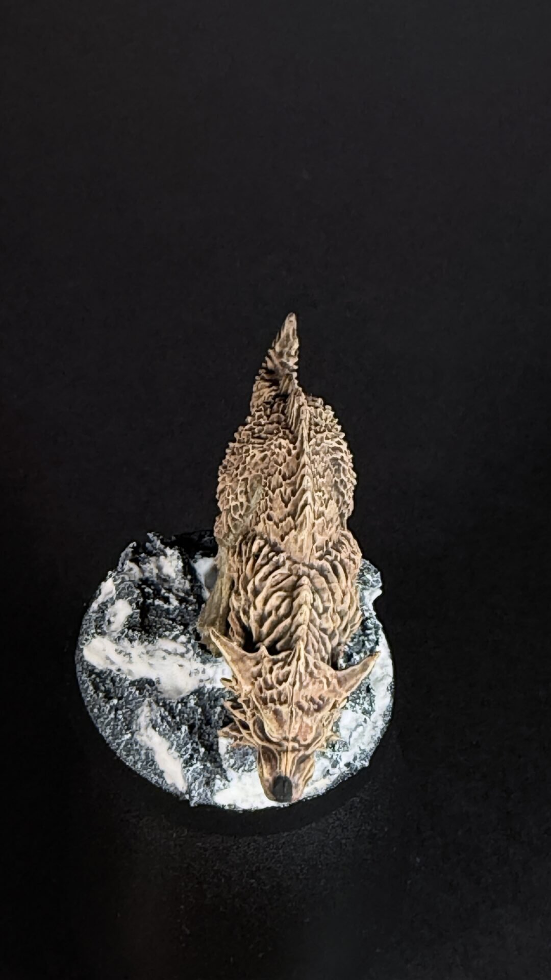 Dried, spiky brown plant resting on a round, snow-speckled rock against a black background.