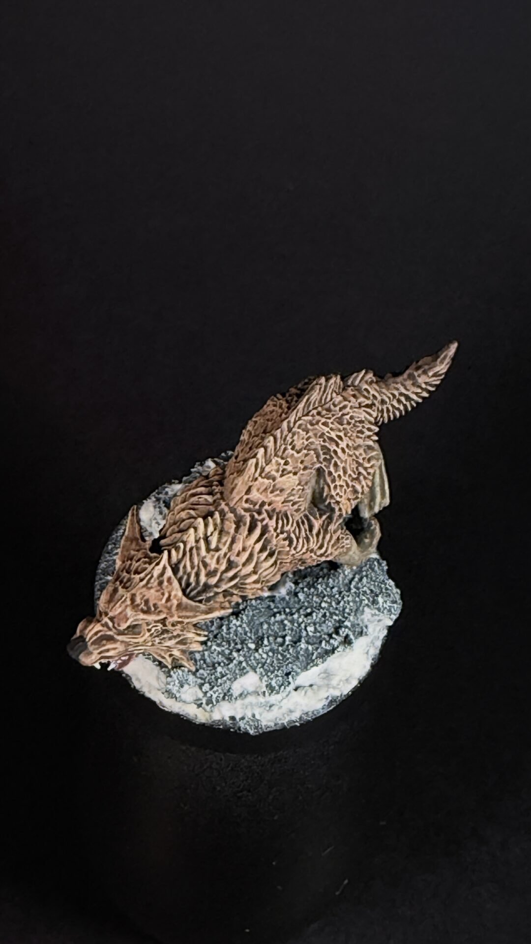 Dried coral fossil with intricate branching pattern resting on a textured rock against a dark background.