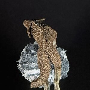 IMG_1882 Three fenrisian wolves miniatures standing on rocky, snow-covered