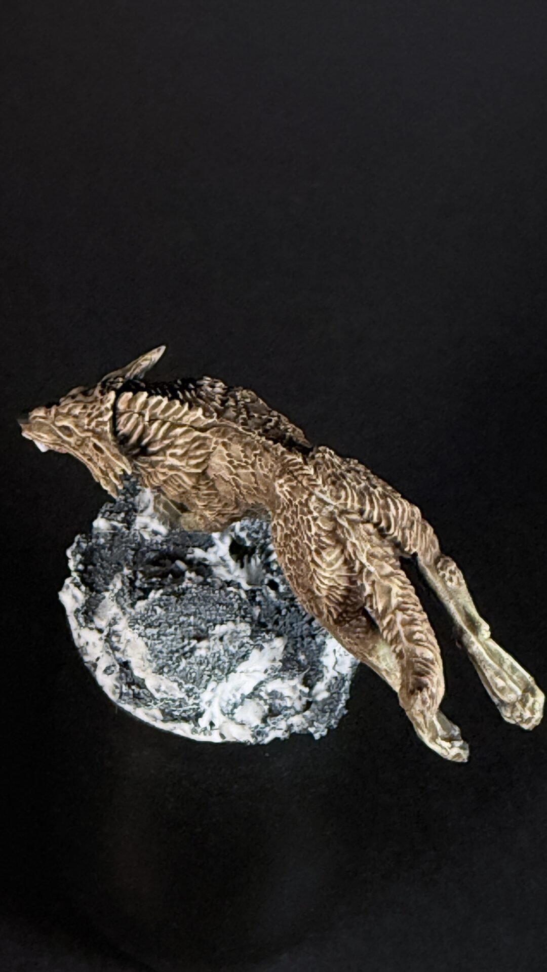 Desiccated lizard carcass stretched over a rough rock on a dark background.