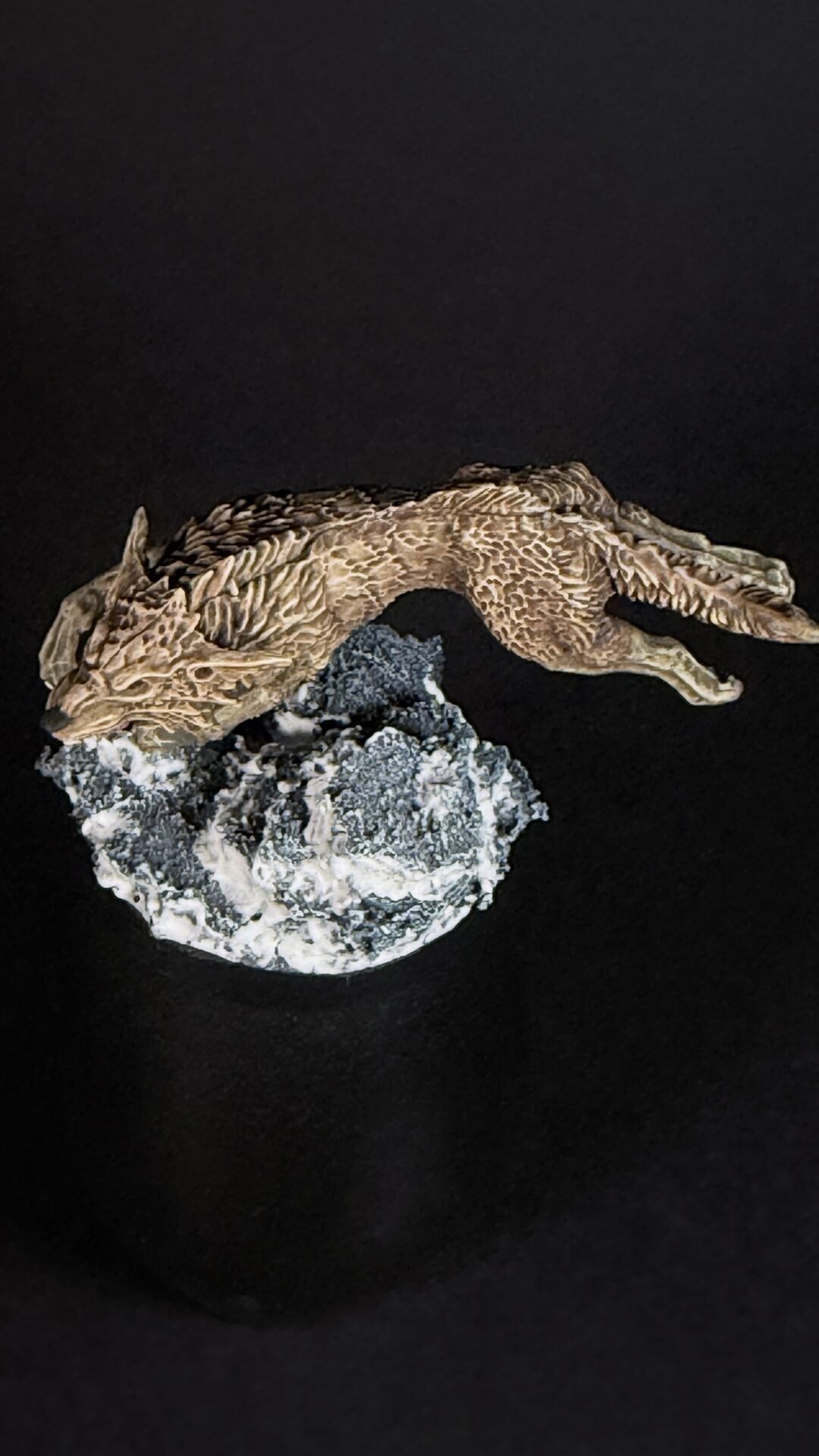 Fossilized lizard embedded in a rock slab, with head to the left and curled body on a dark background.