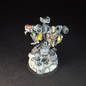 Space Wolves Wolf Scout Gunner_1975 Painted Space Wolves Wolf Scout Gunner with plasma gun on snowy base