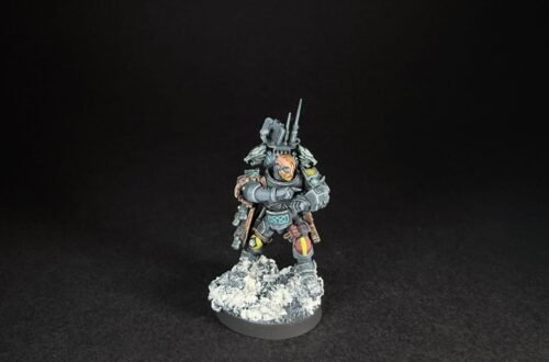 Painted Wolf Scout Frosteye with Instigator Bolt Carbine on a snowy base.