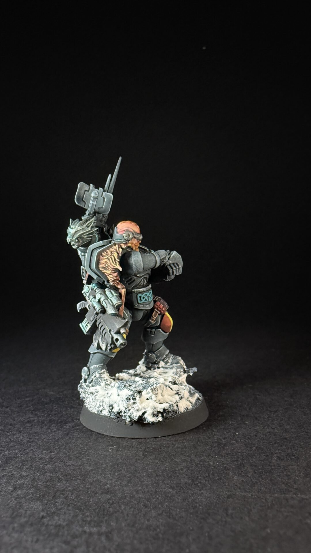 Painted Wolf Scout Frosteye with Instigator Bolt Carbine on a snowy base.