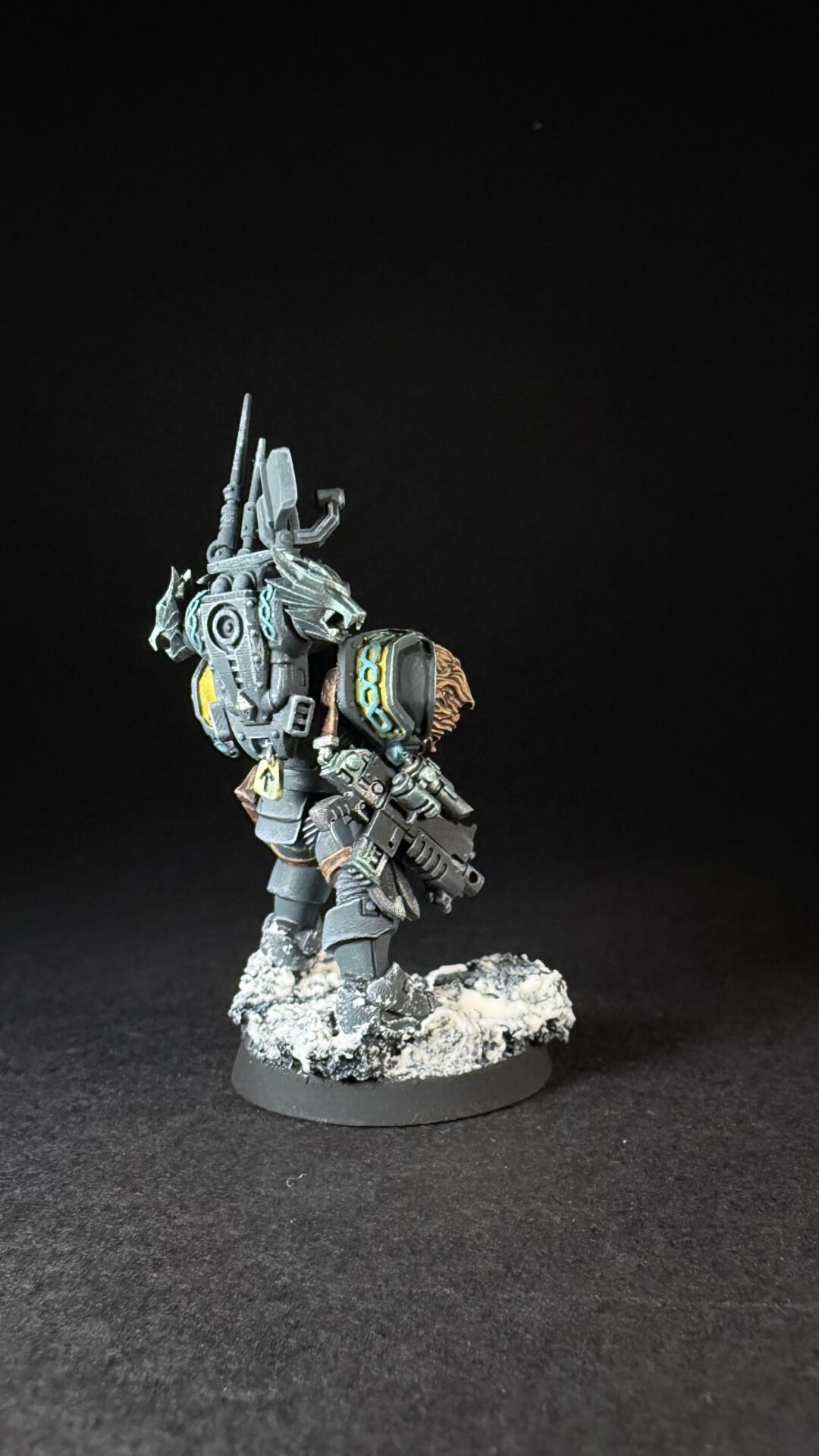 Painted Wolf Scout Frosteye with Instigator Bolt Carbine on a snowy base.