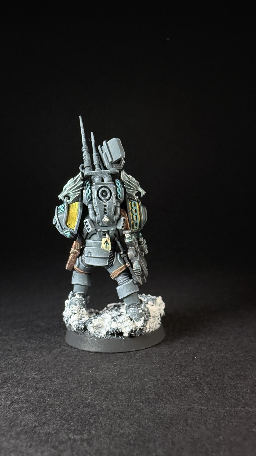 Painted Wolf Scout Frosteye with Instigator Bolt Carbine on a snowy base.