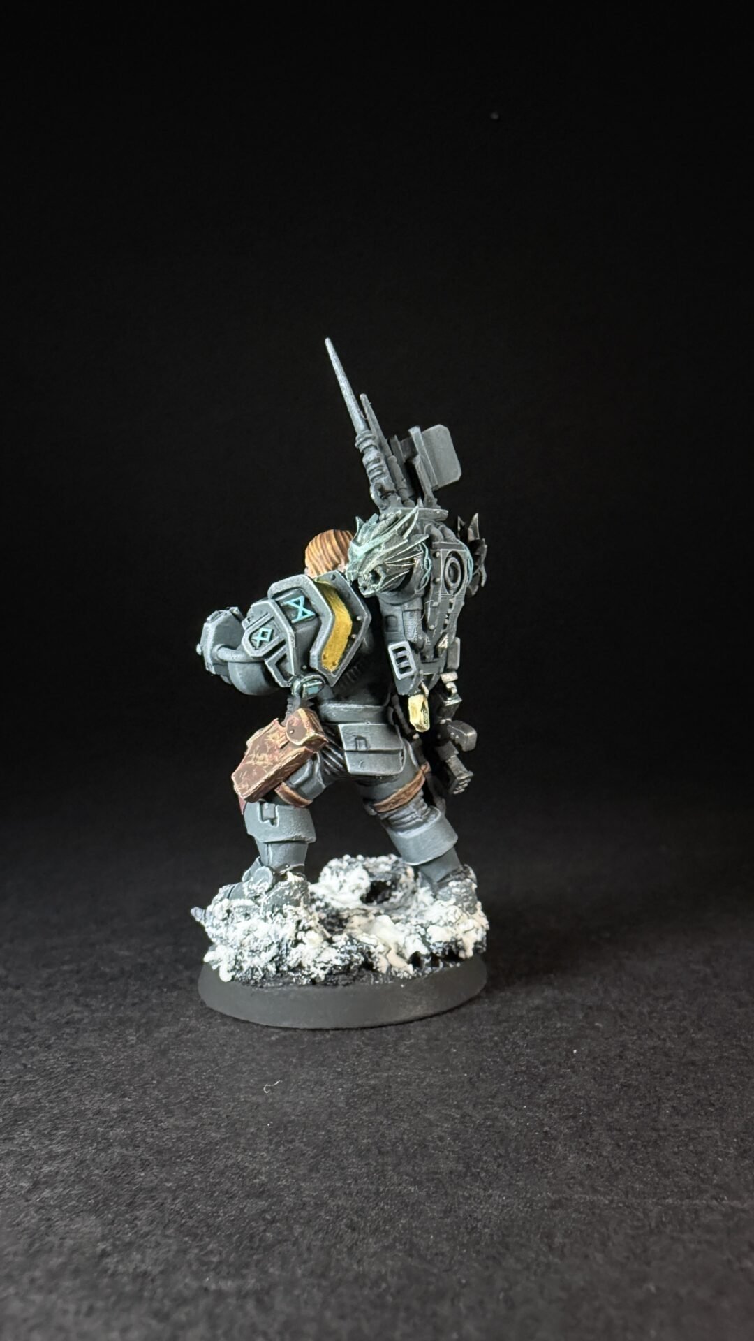 Painted Wolf Scout Frosteye with Instigator Bolt Carbine on a snowy base.