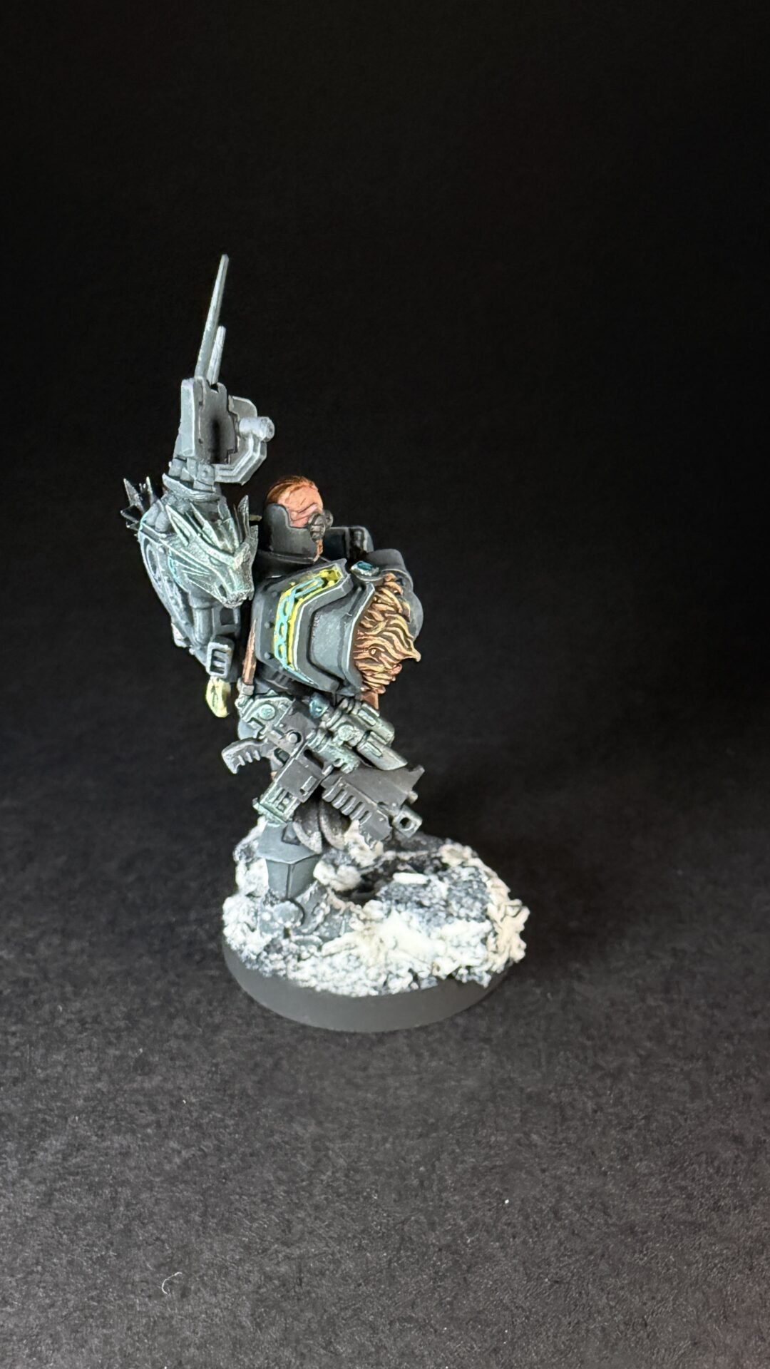 Painted Wolf Scout Frosteye with Instigator Bolt Carbine on a snowy base.
