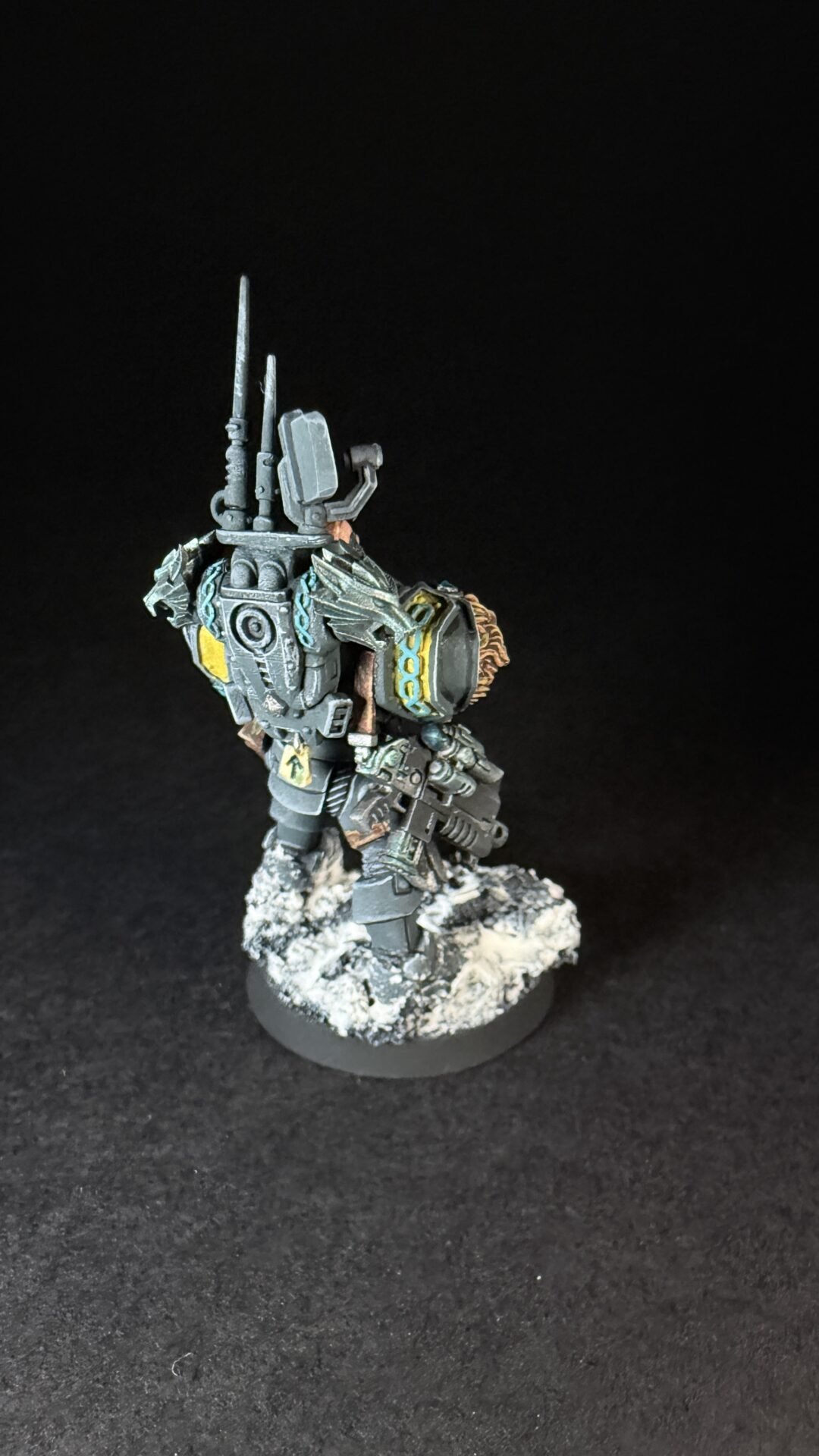 Painted Wolf Scout Frosteye with Instigator Bolt Carbine on a snowy base.